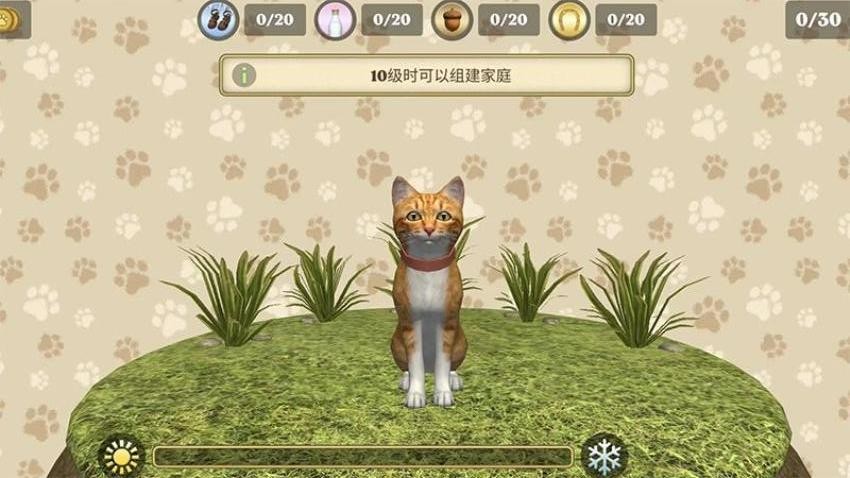 小猫旅途：森林家园