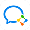 企业微信分身 9.6.0