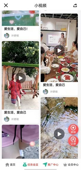 豆壳