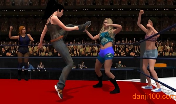 女子团体摔跤官方版(Women Tag Team Wrestling)