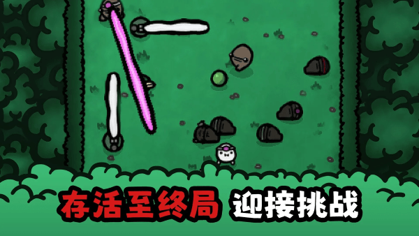 迷失的土豆