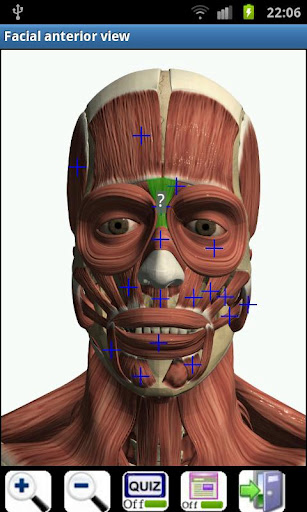 3d虚拟人体解剖(Visual Anatomy)