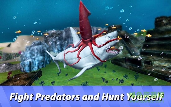 Ocean Squid Simulator
