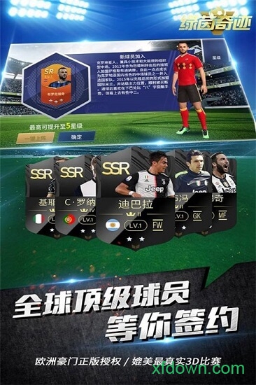 绿茵奇迹 绿茵奇迹