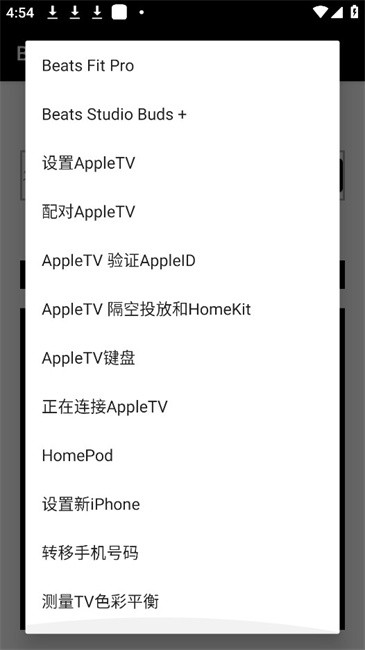 BadAppleJuice安装包手机版