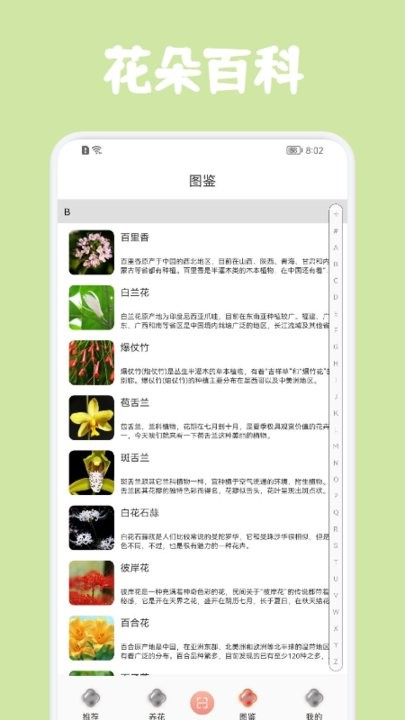 识花帮