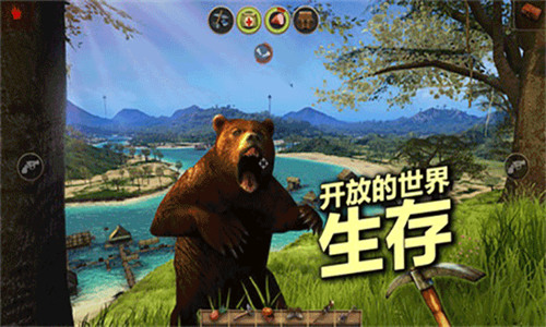 辐射岛高级版 辐射岛高级版