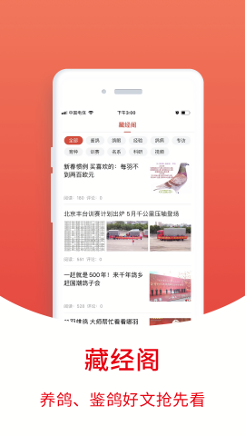 搜鸽天下-赛鸽头条重磅升级