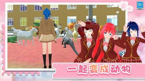 学姐带带我