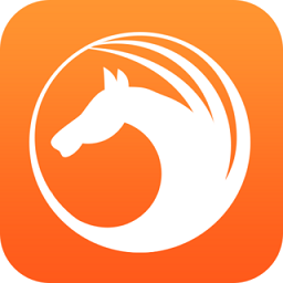 天马浏览器极速版 1.3.0.1001