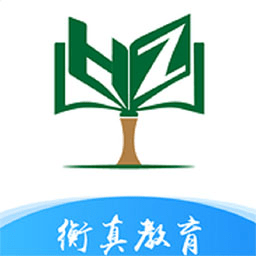 衡真电网