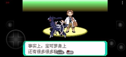 究极彩宝石全随机版