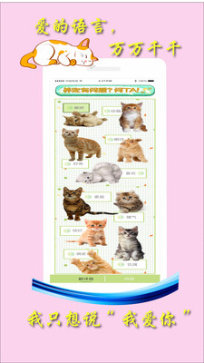 米族人猫交流器 米族人猫交流器