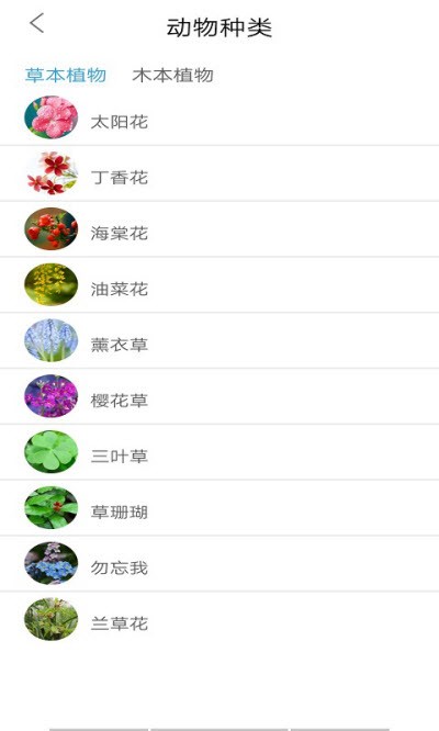 MUJI无印良品