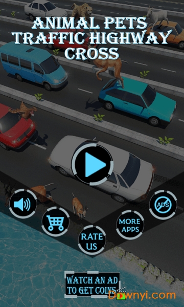 公路上的动物 公路上的动物