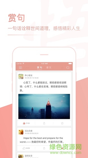 每日一悟 每日一悟