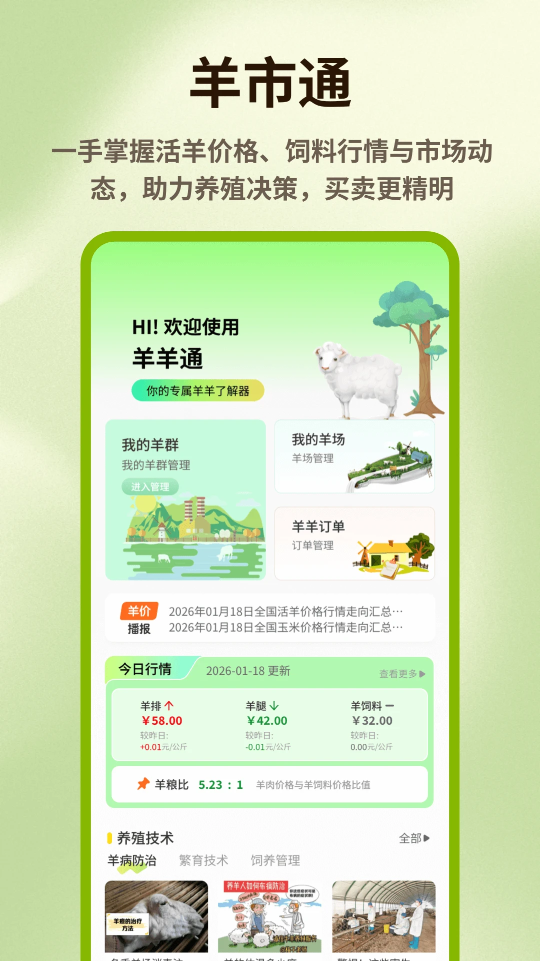 跑了只羊