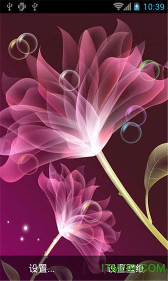 唯美花纹动态壁纸