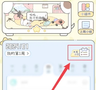口袋周计划 口袋周计划