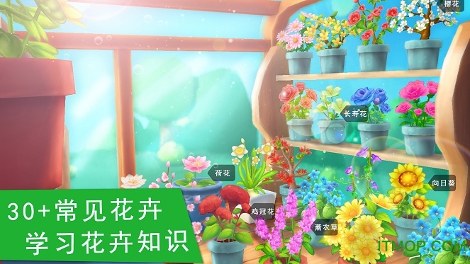花花世界
