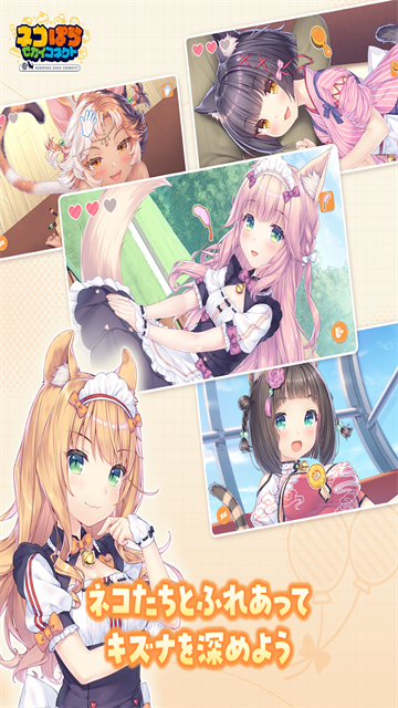 ネココネ安装器