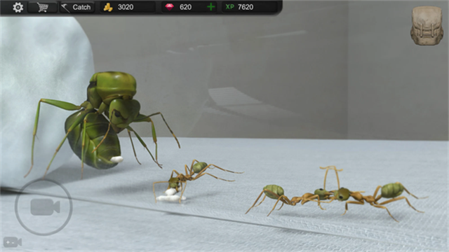 Ant Sim Tycoon安装器 Ant Sim Tycoon安装器