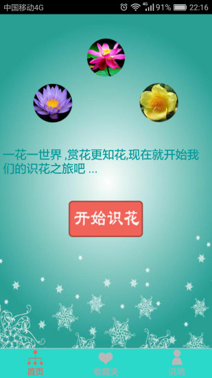 看图识花
