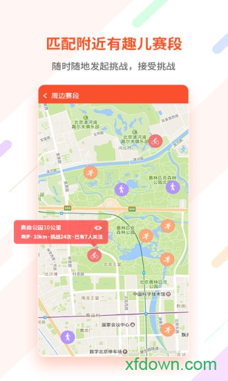 郁金香运动 郁金香运动