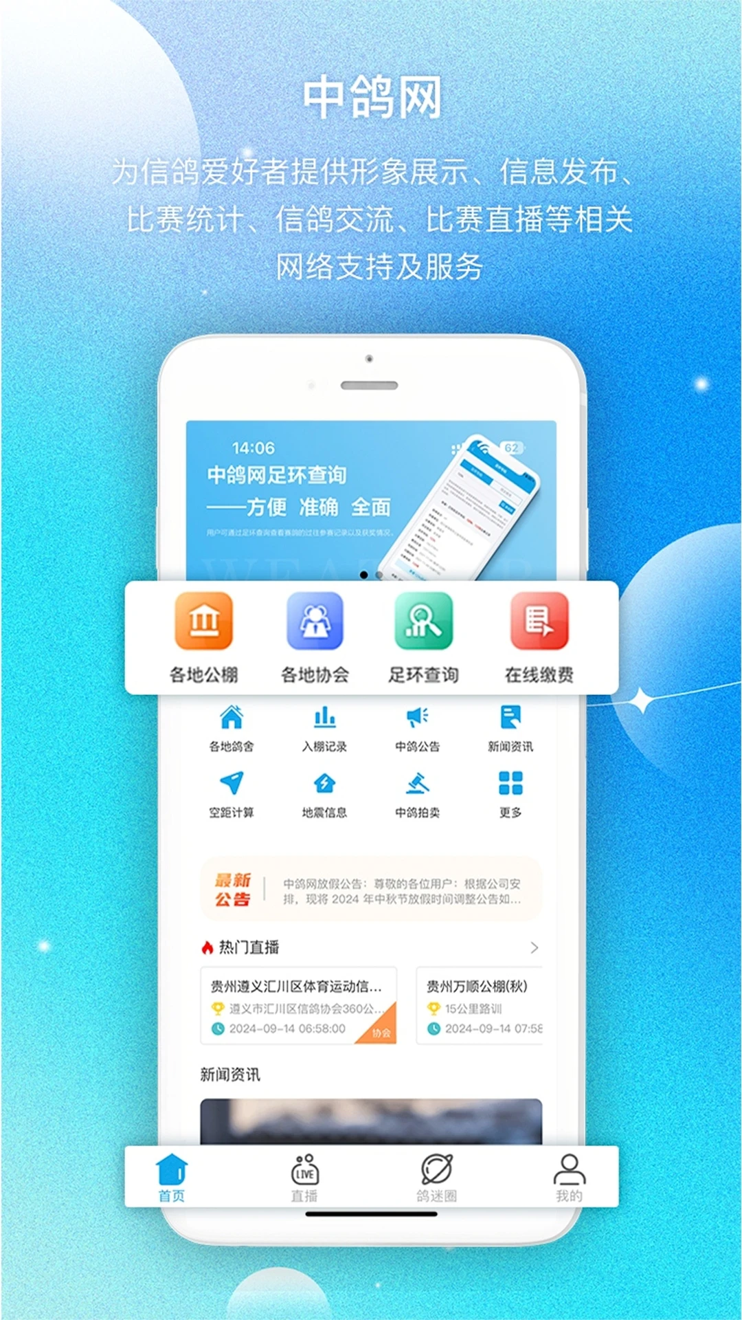 中鸽网