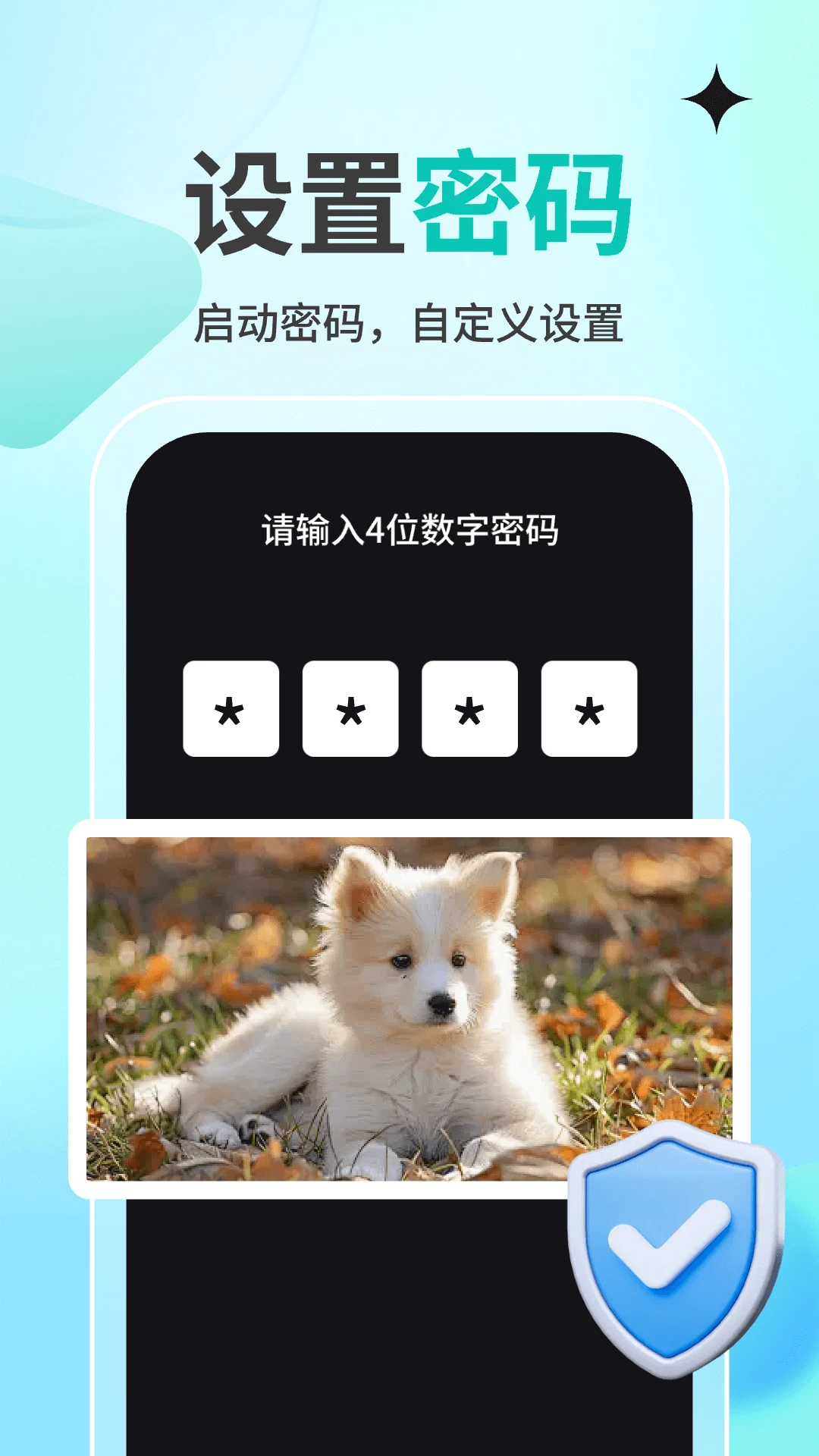 私人观影播放器player