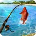Fishing Clash安装器