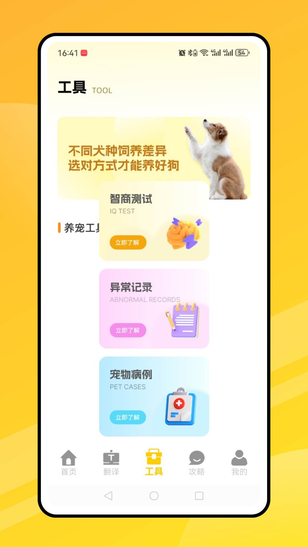 会说话的猫猫