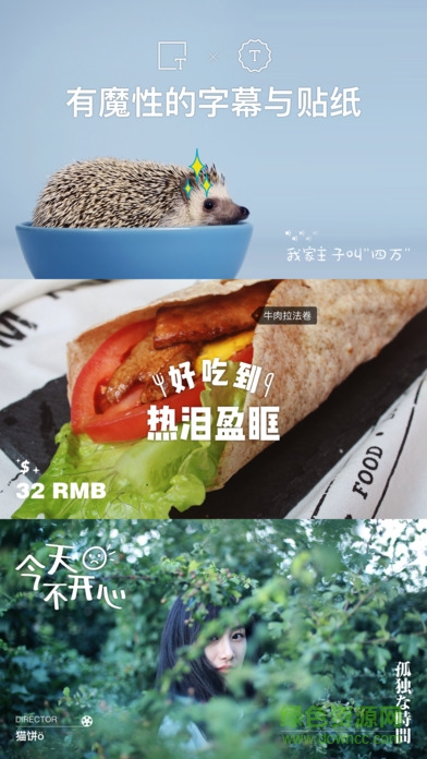 猫饼 猫饼