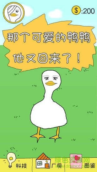 冬日里的那只鸭