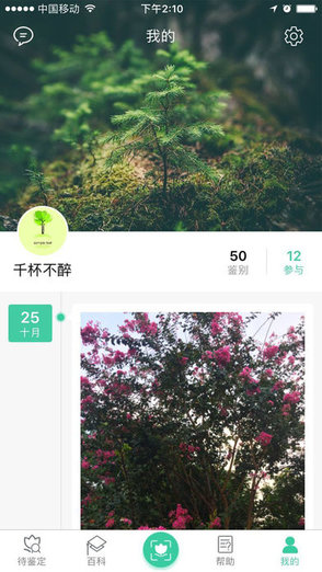 植物达人