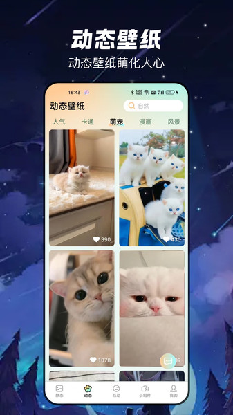 梦幻乐园壁纸 梦幻乐园壁纸