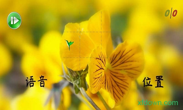 聪敏