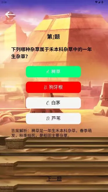 光影栈