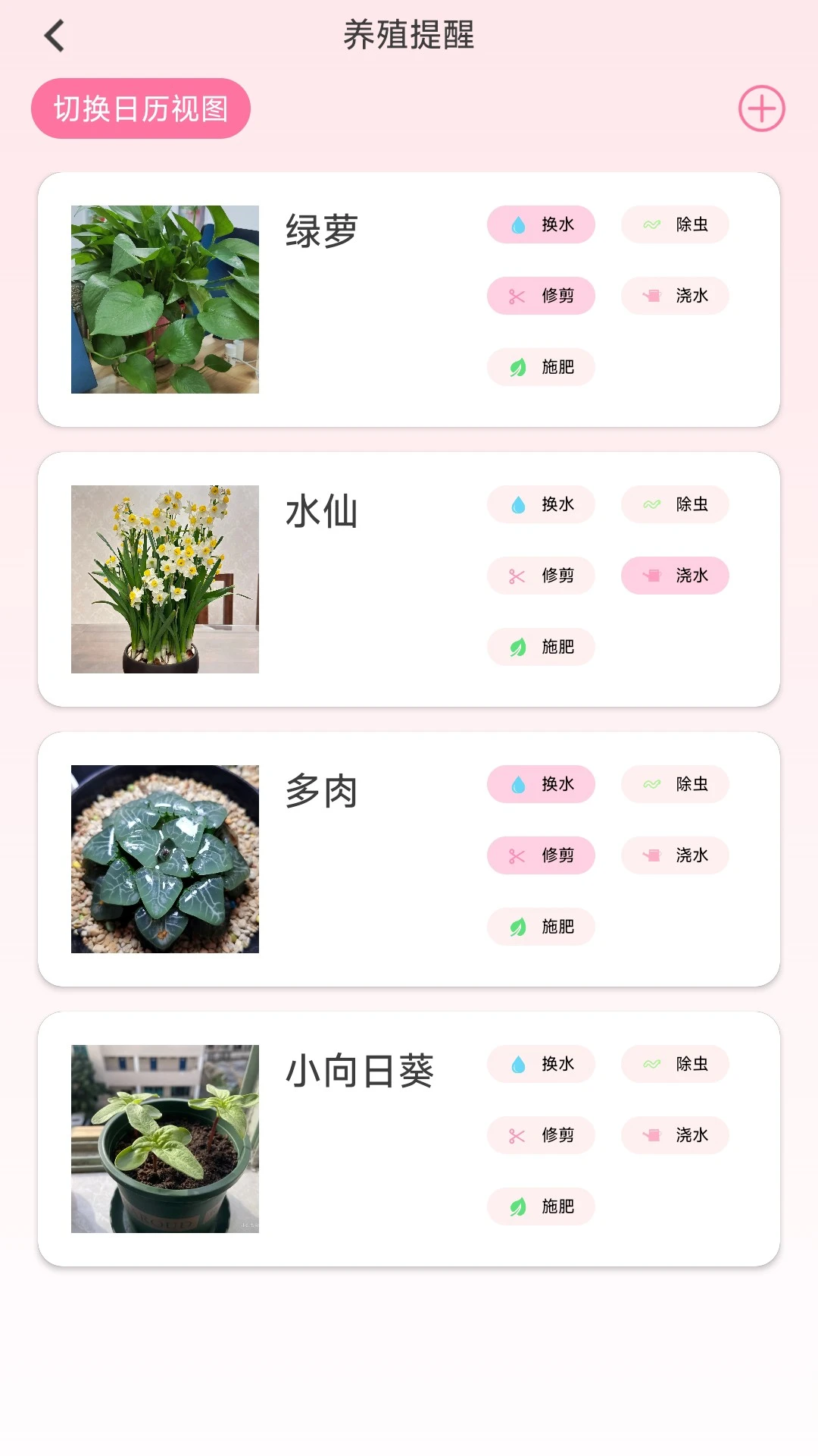 花开满堂