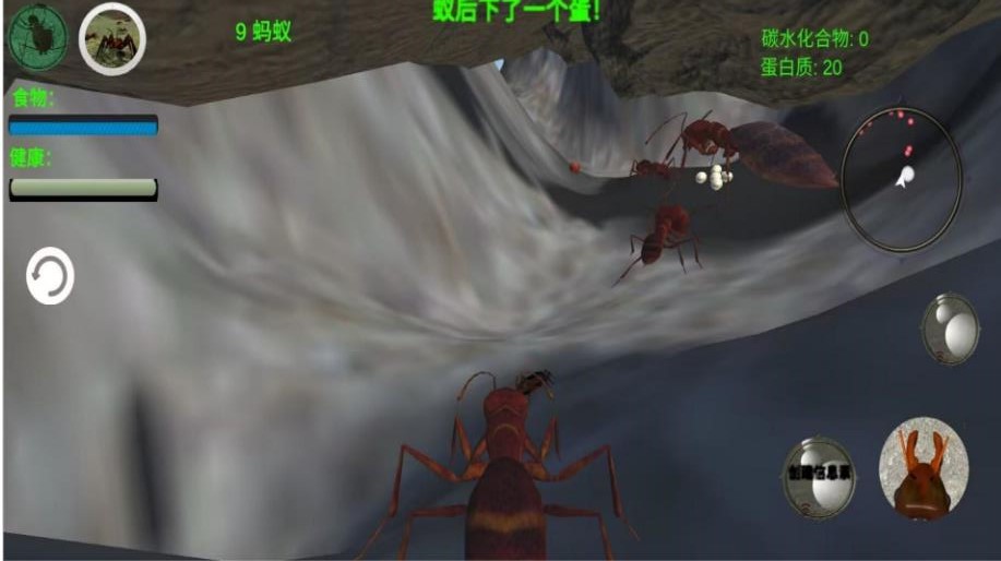 奇妙动物园安卓版