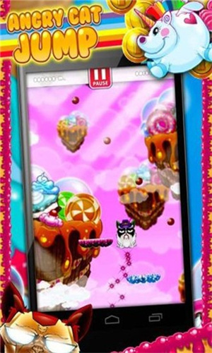 愤怒的猫 愤怒的猫