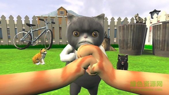 小猫模拟器 小猫模拟器