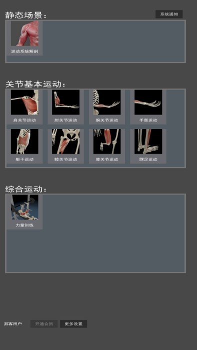 3D运动解剖 3D运动解剖