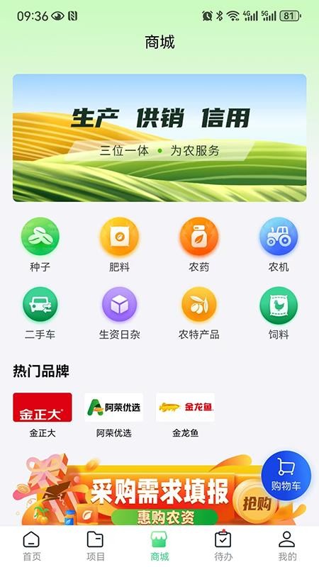 阿农宝