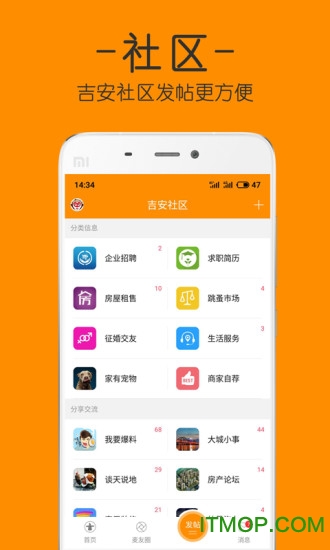 麦地网