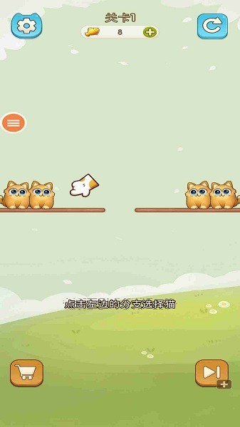 我的可爱猫咪 我的可爱猫咪