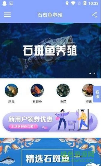 石斑鱼养殖 石斑鱼养殖