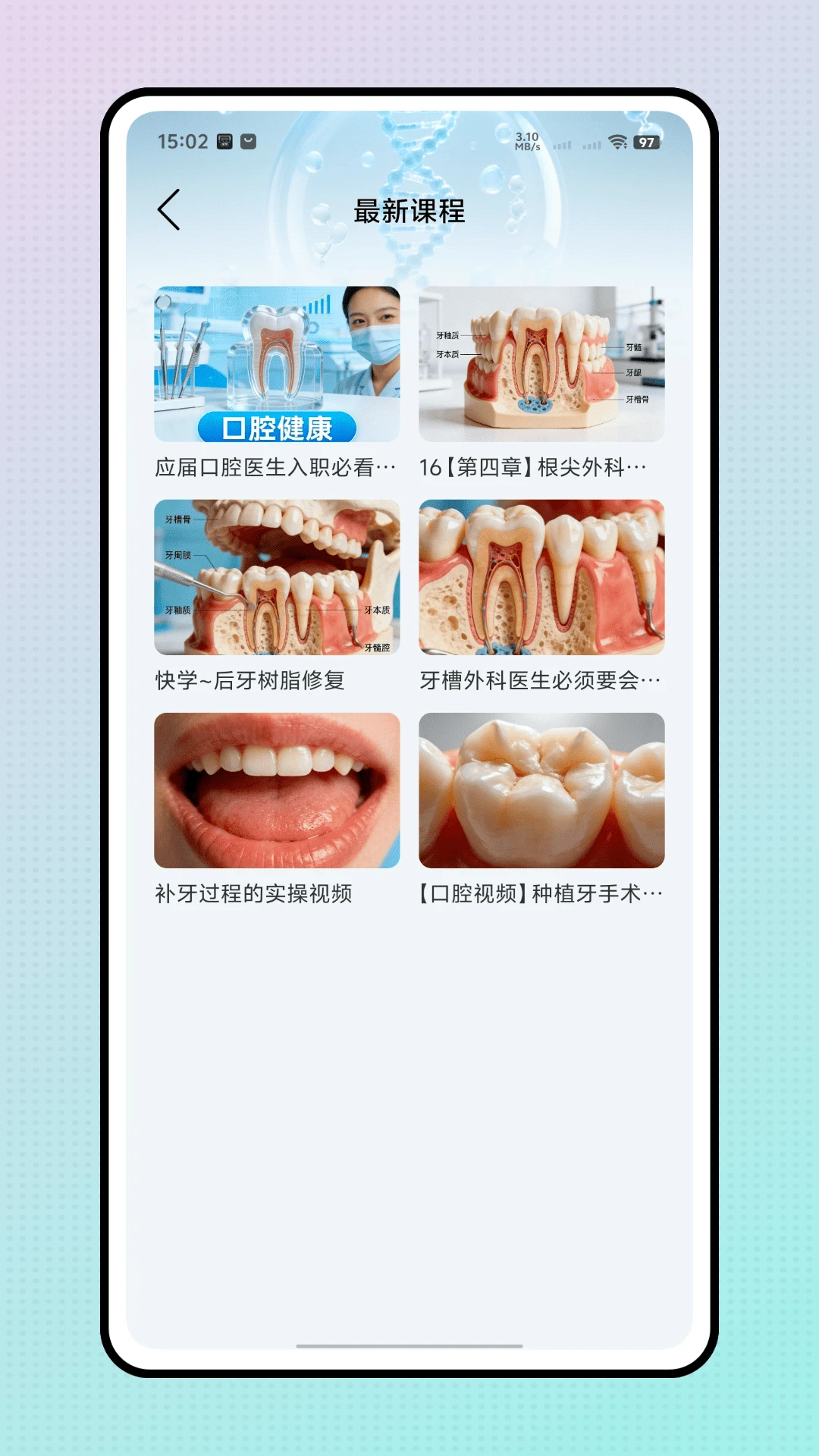 口腔解剖图
