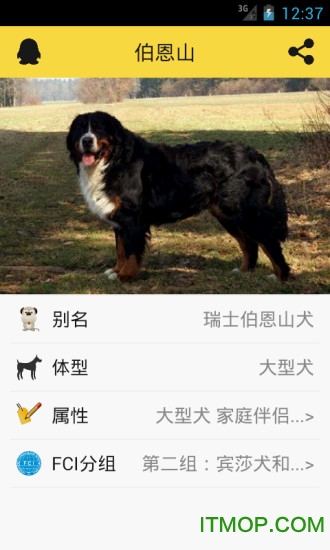 宠物狗狗助手 宠物狗狗助手