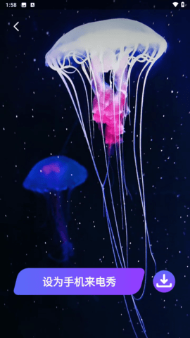 星光来电
